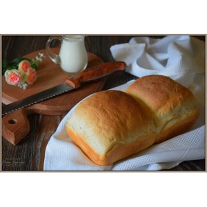 �������� ����� ����