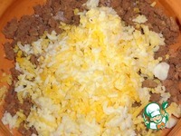 ���������-������ ������ �����������