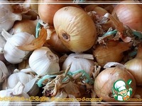 ������� ���� �����������