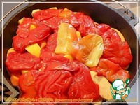 ������� ���� �����������