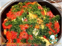 ������� ���� �����������