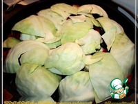 ������� ���� �����������