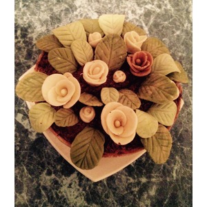 ���� "����� � ��������"