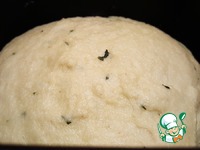 ����� � ��������� � ���������� �����������