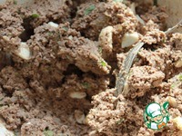 �������� � ������� �����������