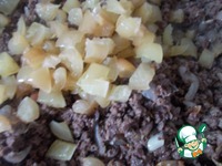 �������� � ������ � ������ �����������