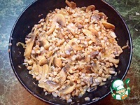 ������ �����������