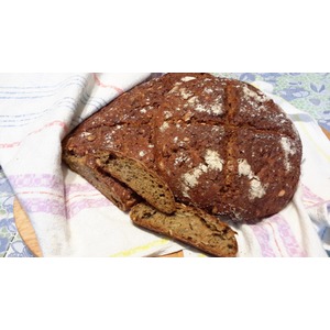 ��������� ���� �� ��������