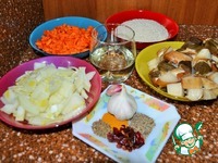 ���� � ������ ������� �����������