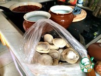 �������� � ��������� � �������� ������ �����������