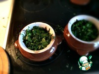 �������� � ��������� � �������� ������ �����������