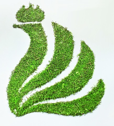 "����������" - ������ ����� ��� ������� � �������!