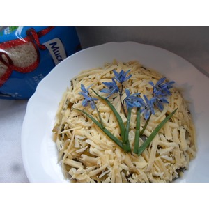 ����� � ����� � ������� ��������