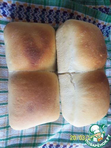 �������� ����� ����