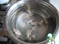 ��� � ����������, ��������� � �������� �����������