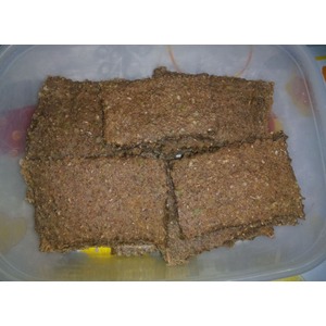 ������� �������� ������