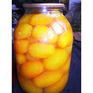 ������������ �������� ��-����������-2