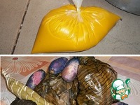 ������� "��������� ����" �����������