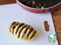 ��������� "��������", ������������� ������� �����������