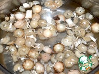 ������� ������� � ������� �����������