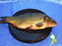 ������������� ���� "������ ������" �����������