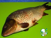 ������������� ���� "������ ������" �����������