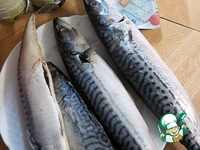 �������, ���������� � ����� � �������� �����������