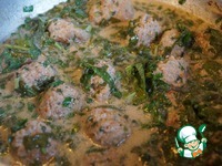 ����������� "��������" �����������