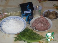 �������-�������� � �������� �����������