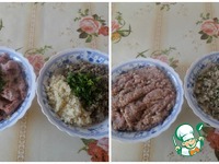 �������-�������� � �������� �����������