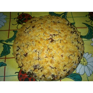 ����� "���������"