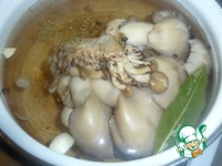 ������ � ������� � ������� �����������