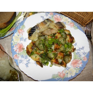 ������������ ����� "��� ��������� �������"