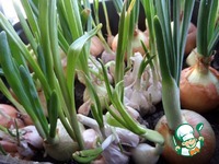 ��������� � ������� � ������� �����������