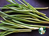 ��������� � ������� � ������� �����������