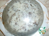 ������ ����� "�����" �����������