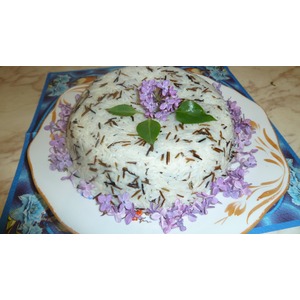 ������ ����� "�����"