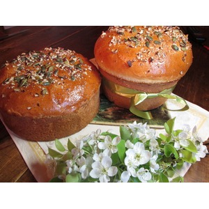 ���������� ����