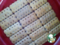 ���������-��������� ���� � ��������-�������� ������ �����������