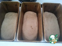 ���� �� ��������� � �������������� ���� �����������