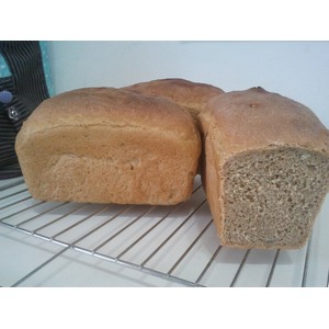 ���� �� ��������� � �������������� ����