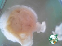 ��������-���������� ���-��������� �����������