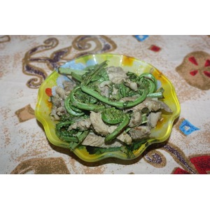 ���������� "���������" �� ��������