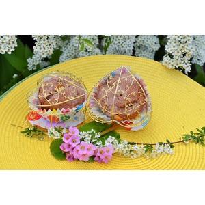 ����� "������� � ��������"