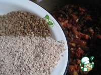 ���� � ������ �����������