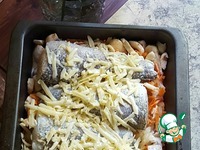 ��������� � ������� �����������