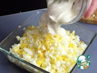 ����� �� ����� "����������" �����������