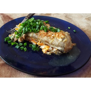 ��������� � �������