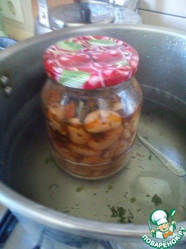 ��� ����������