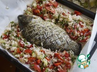 ����, ���������� � ����� � ������� �����������